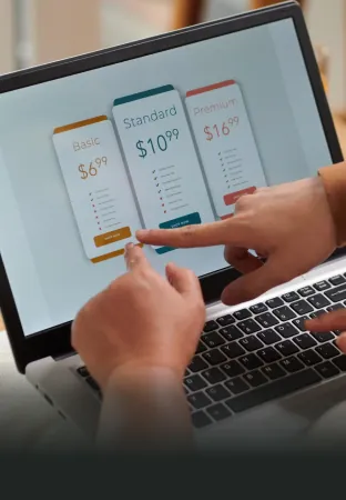 Sales Subscription Revenue